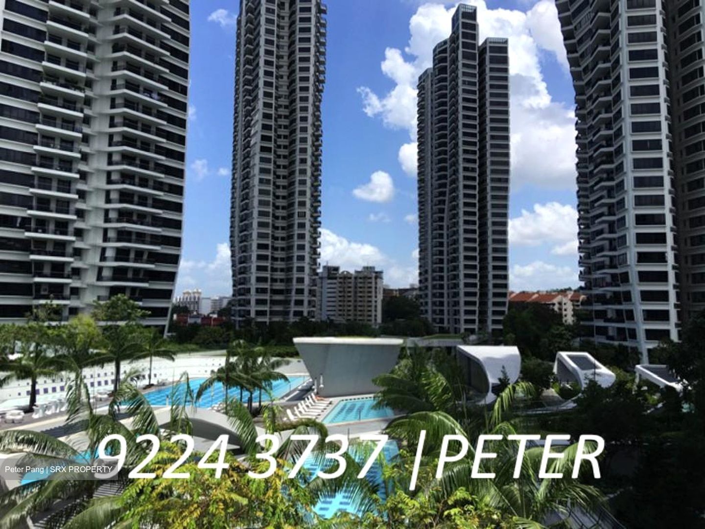 D'Leedon (D10), Condominium #441971441